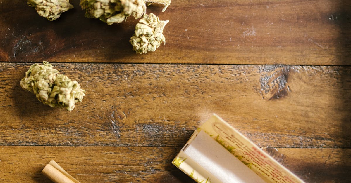 What's the difference between CBD flower and cannabis flower?