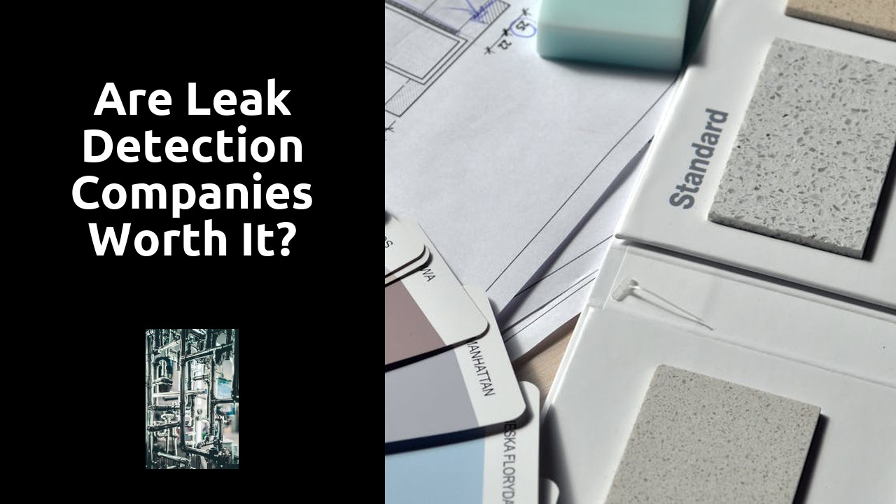 Are leak detection companies worth it?