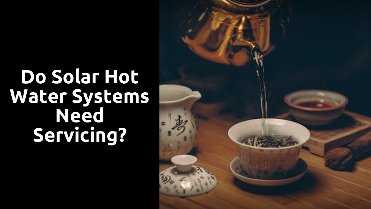 Do solar hot water systems need servicing?