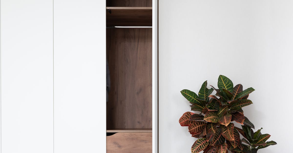 What are the pros and cons of glass versus solid doors for built-in wardrobes?