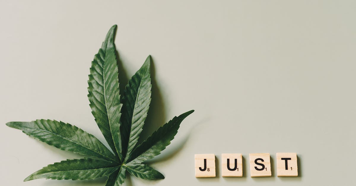 Cannabis Education and Consulting Services