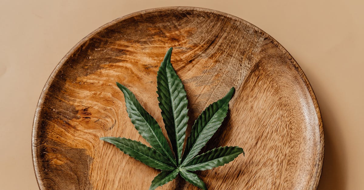 Cannabis-Infused Beauty Products