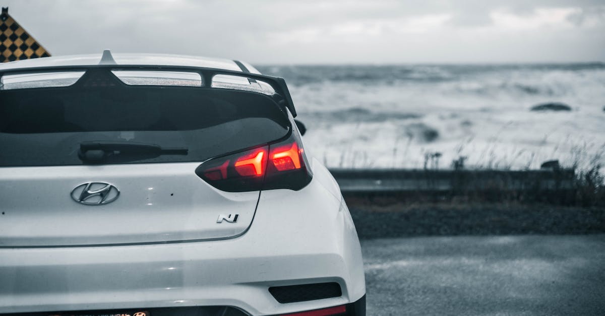 Why do car thieves break the back window?