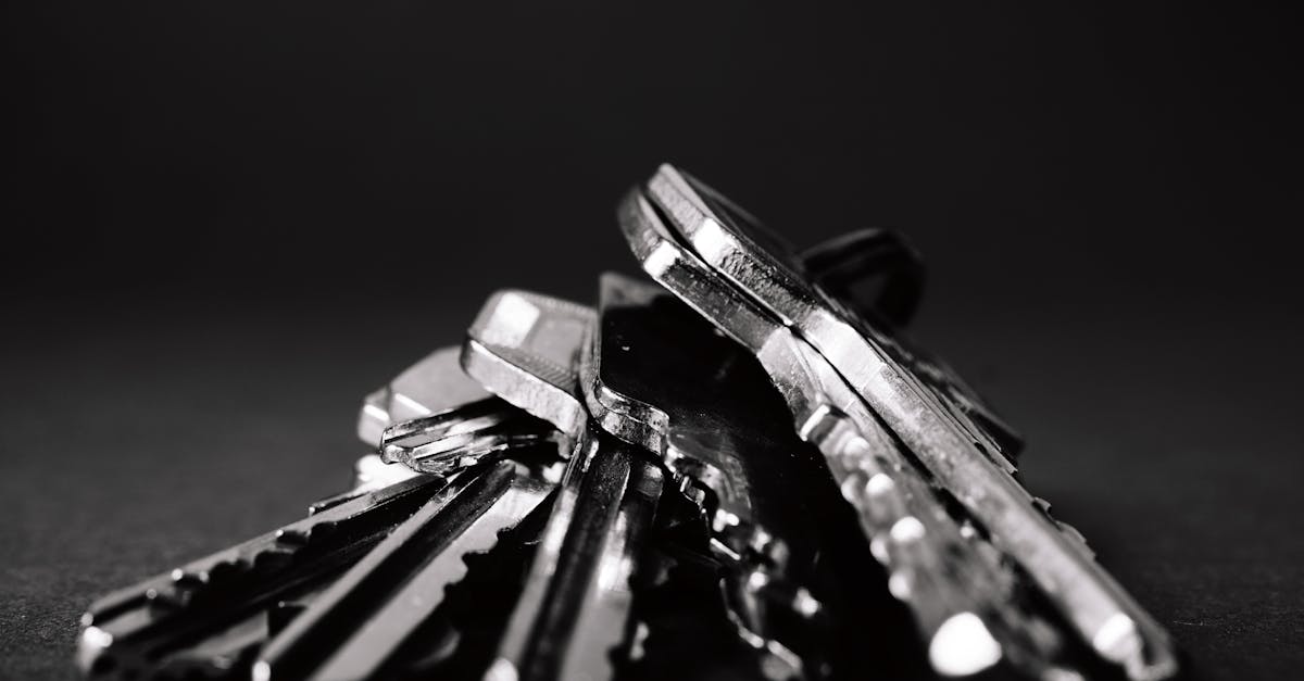 What is meant by security services?